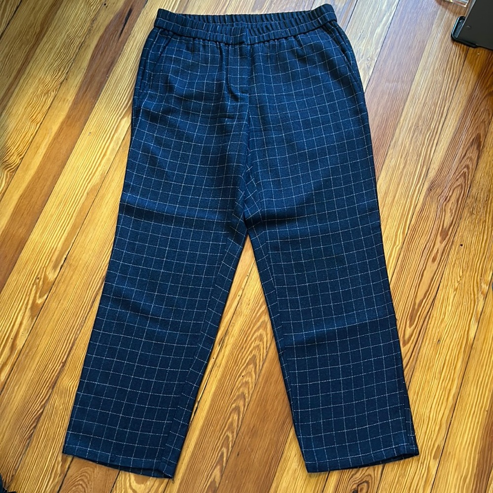 Eileen fisher pants